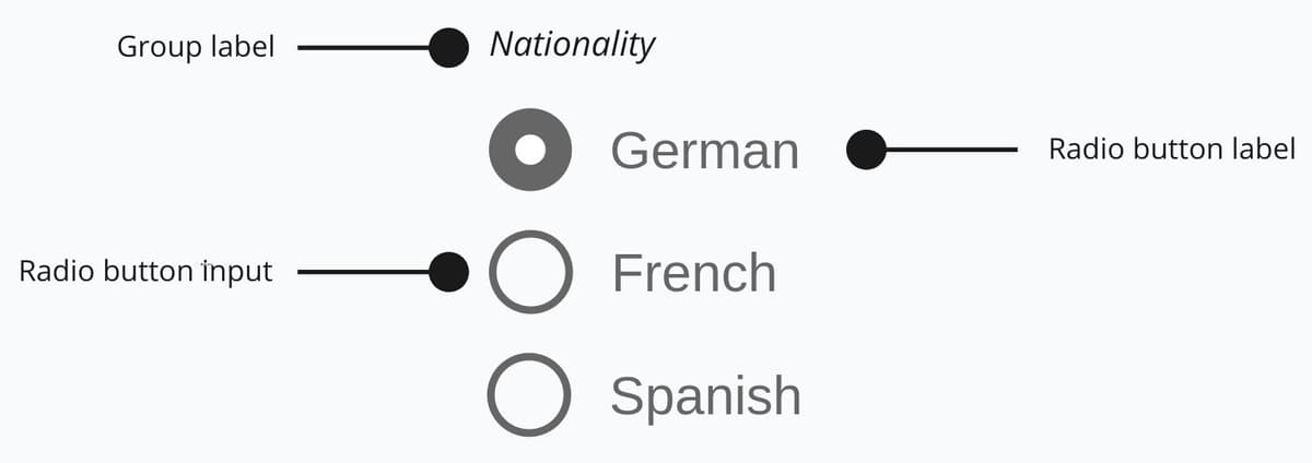Anatomy of radio component